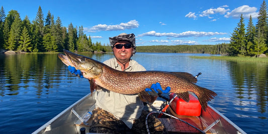 Best Pike Lures for Fall Fishing