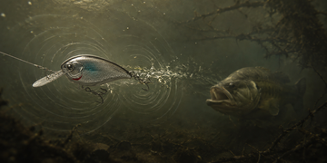 Why Sound and Vibration Matter in Fishing Lures?