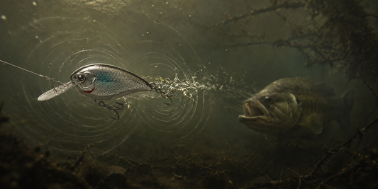 Why Sound and Vibration Matter in Fishing Lures?