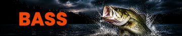Bass