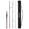 Fishing rod with reel, rod, and black carrying case on a white background