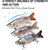TRUSCEND Easy Catch Swimmax, Mahiwagang Malakas at Umiindayog na Kilos para sa Higit pang Kagat, Segmented Swimbait na Pinagsama ng Pinakamalakas na Dyneema Fiber, Parang Tunay na Fishing Lure para sa Relaks na Family Fishing [WM]