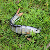 TRUSCEND Swimmax Fishing Lure na may BKK Hook, Madaling Makahuli: Umiindayog, Umiindayog, Gumagawa ng Ingay, Matibay na Dyneema Fiber Jointed Swimbait para sa Bass, Trout, Crappie, Tamang-tama para sa Family Fishing [WM]