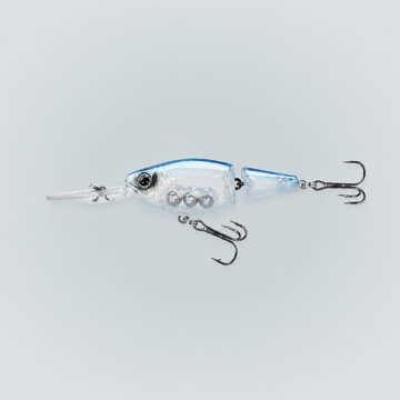 Baits & Lures
