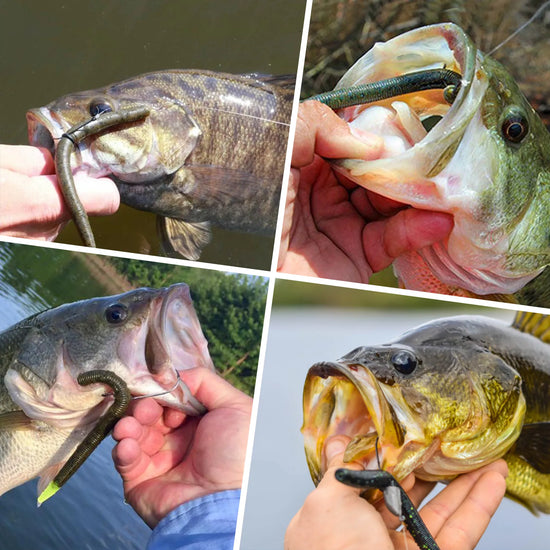 Collage of a fish with a hook in its mouth held by a person, with different backgrounds.