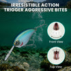 TRUSCEND Extra Metal Lip Crankbait Fishing Lure with BKK Hooks & Rattle