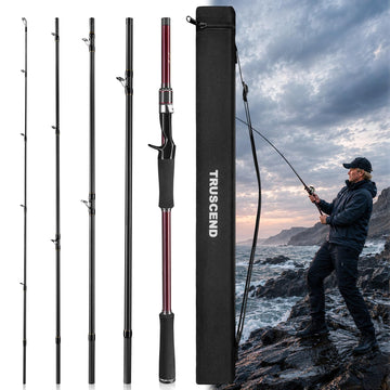 Aetheron Seabass Fishing Rod with Toray Carbon & Fuji SIC Guides
