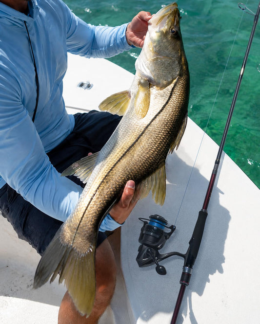 Aetheron Seabass Fishing Rod with Toray Carbon & Fuji SIC Guides