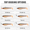 Illustrations of different fishing rig options with a white background