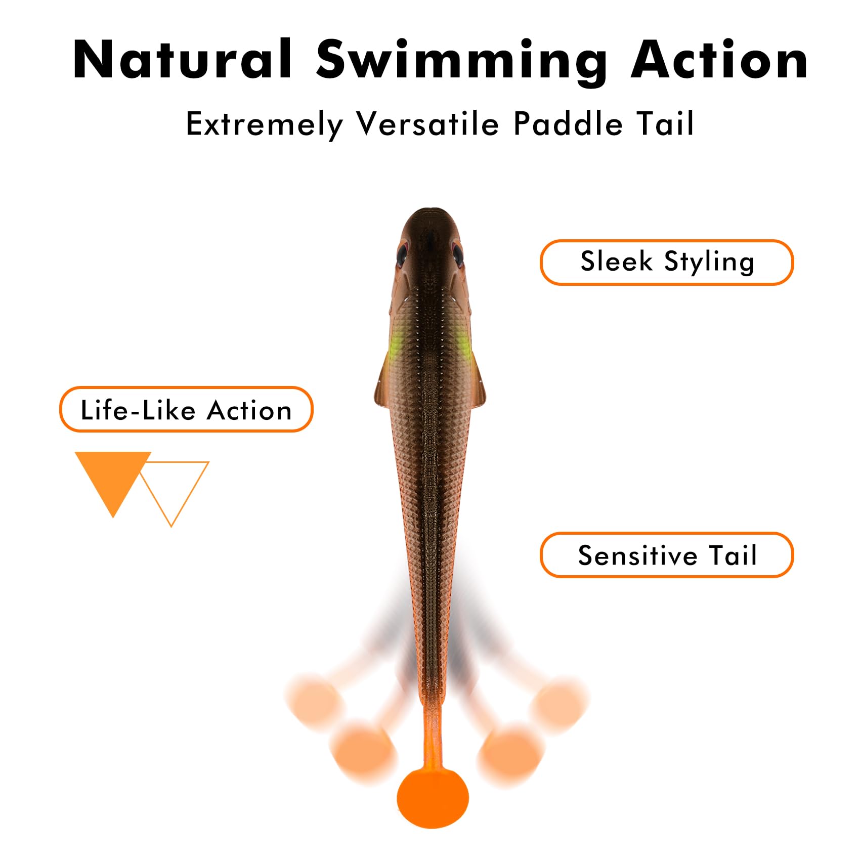 Fishing lure with features labeled on a white background
