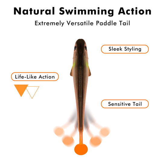 Fishing lure with features labeled on a white background