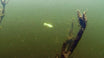 Pre-Rigged Soft Fishing Lures